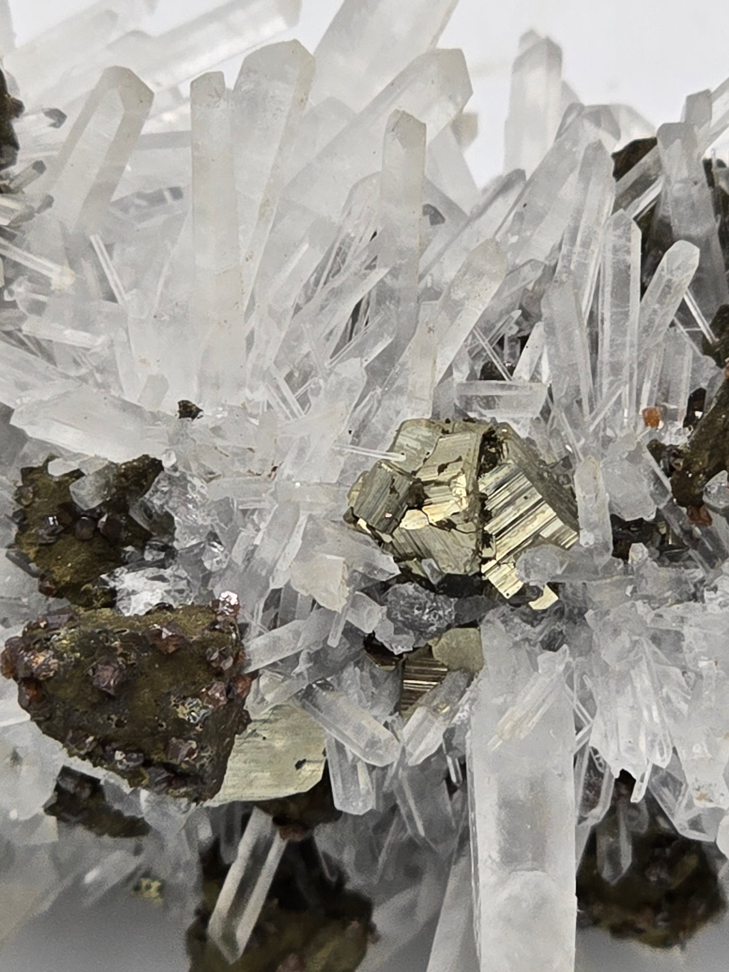 CHALCOPYRITE, PYRITE, SPHALERITE with QUARTZ SMALL CABINET