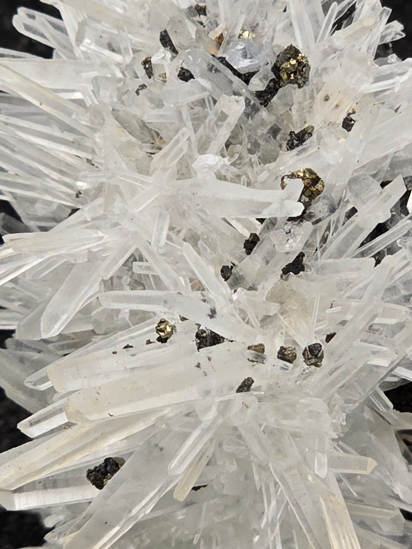 CHALCOPYRITE with QUARTZ (cabinet)
