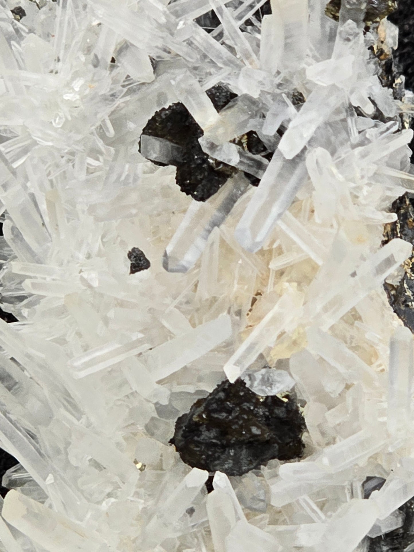 CHALCOPYRITE with QUARTZ (cabinet)