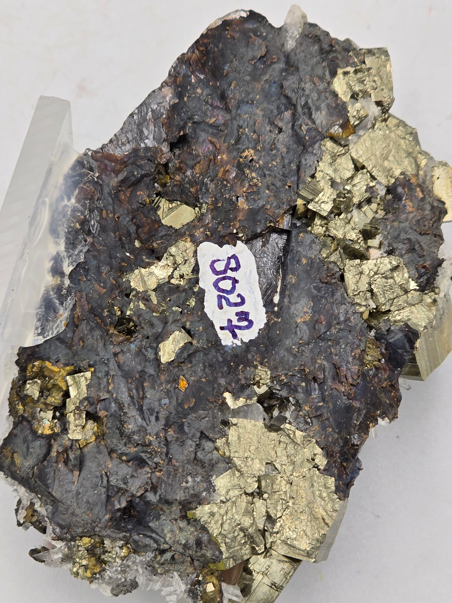 CHALCOPYRITE, PYRITE with QUARTZ