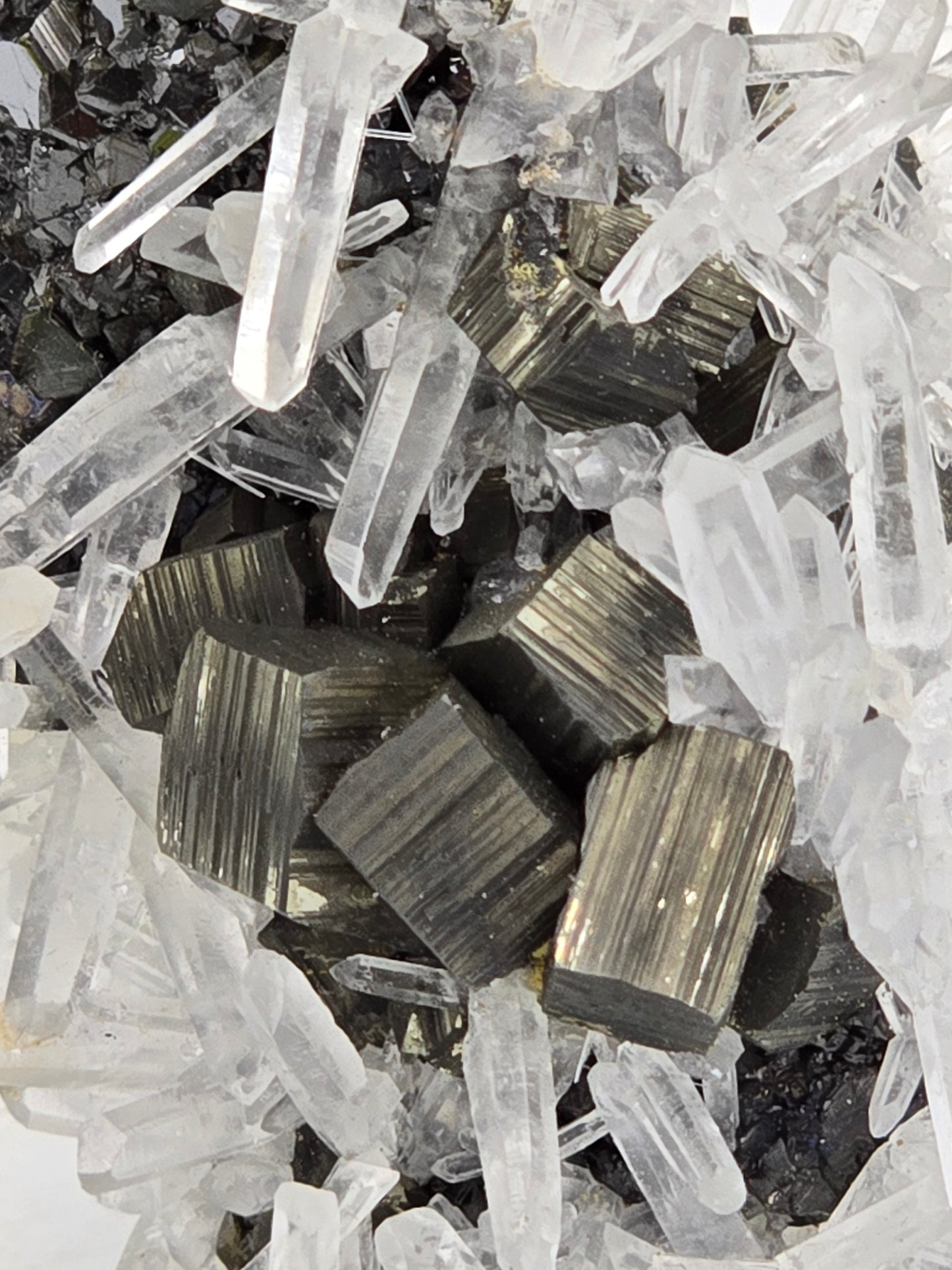 CHALCOPYRITE, PYRITE, SPHALERITE with QUARTZ (miniature)