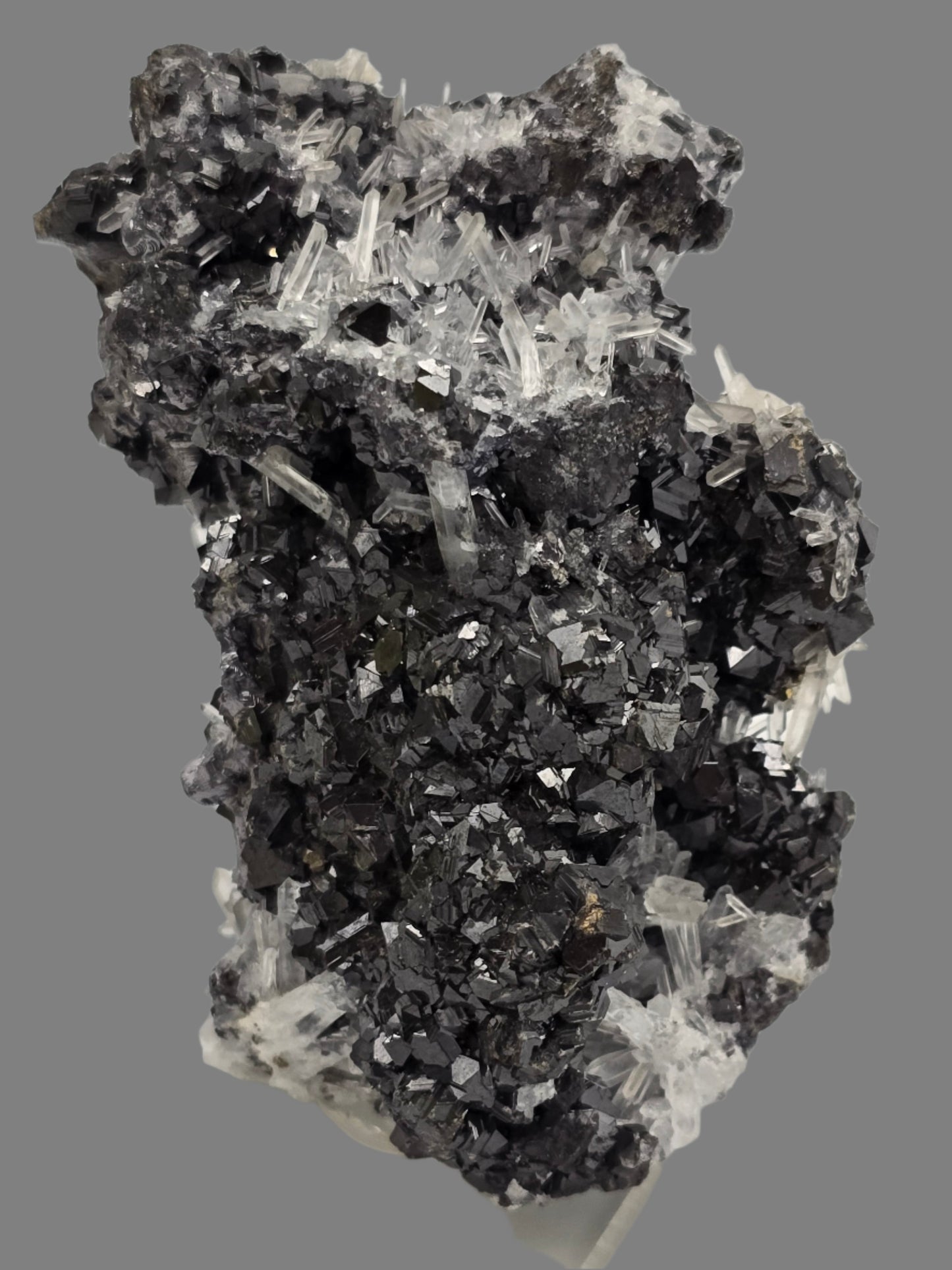 CHALCOPYRITE, SPHALERITE, QUARTZ (small cabinet)