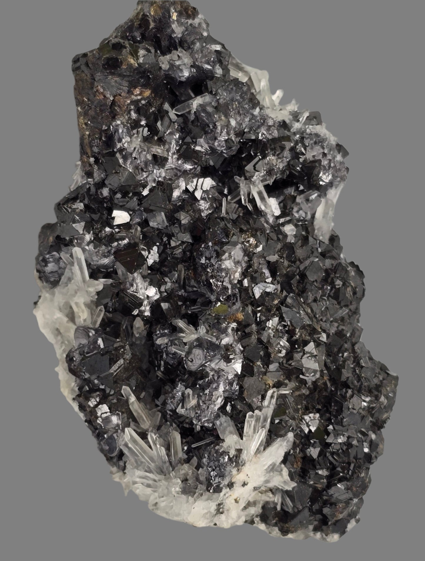 CHALCOPYRITE, SPHALERITE, QUARTZ (small cabinet)