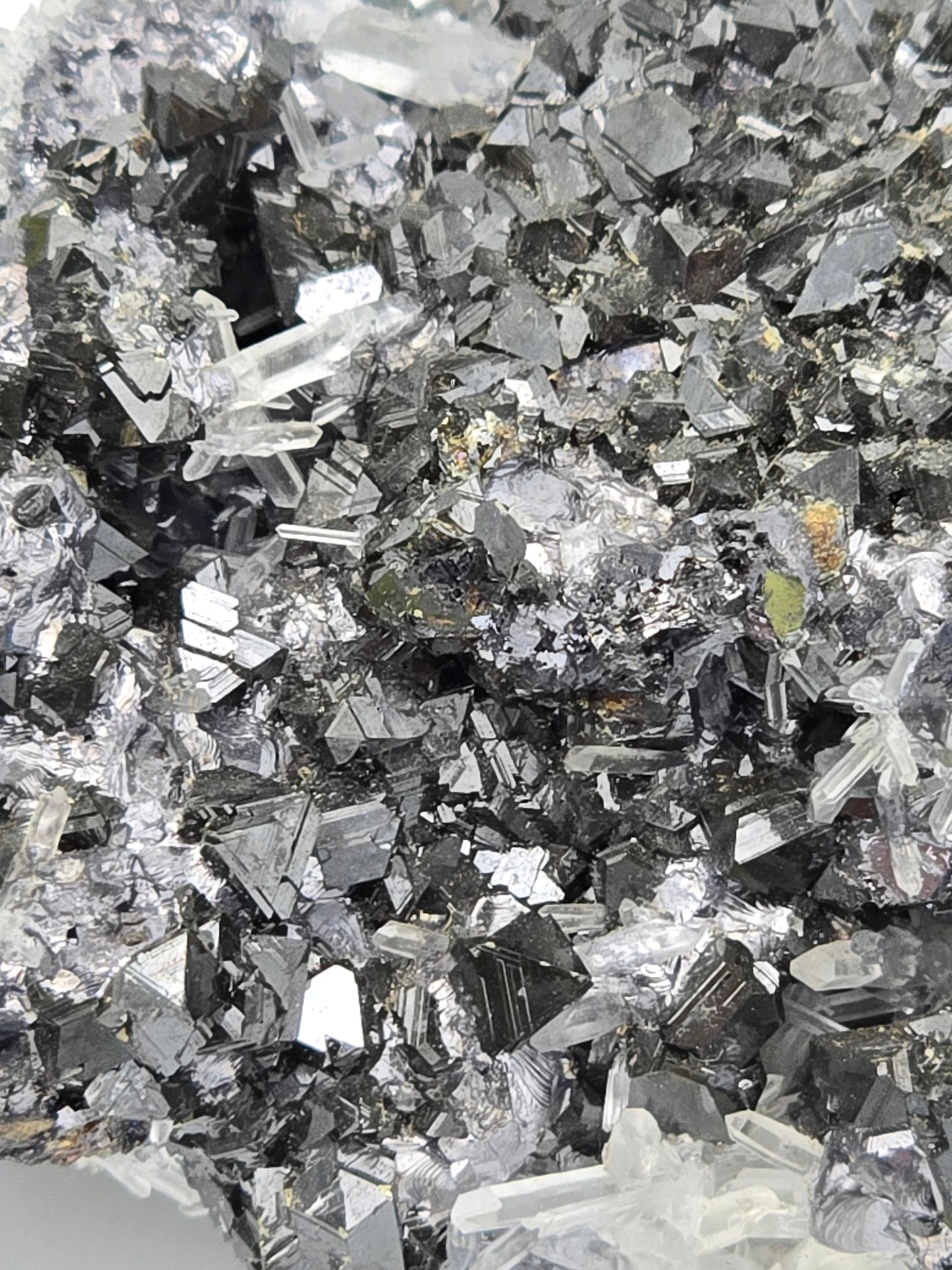CHALCOPYRITE, SPHALERITE, QUARTZ (small cabinet)