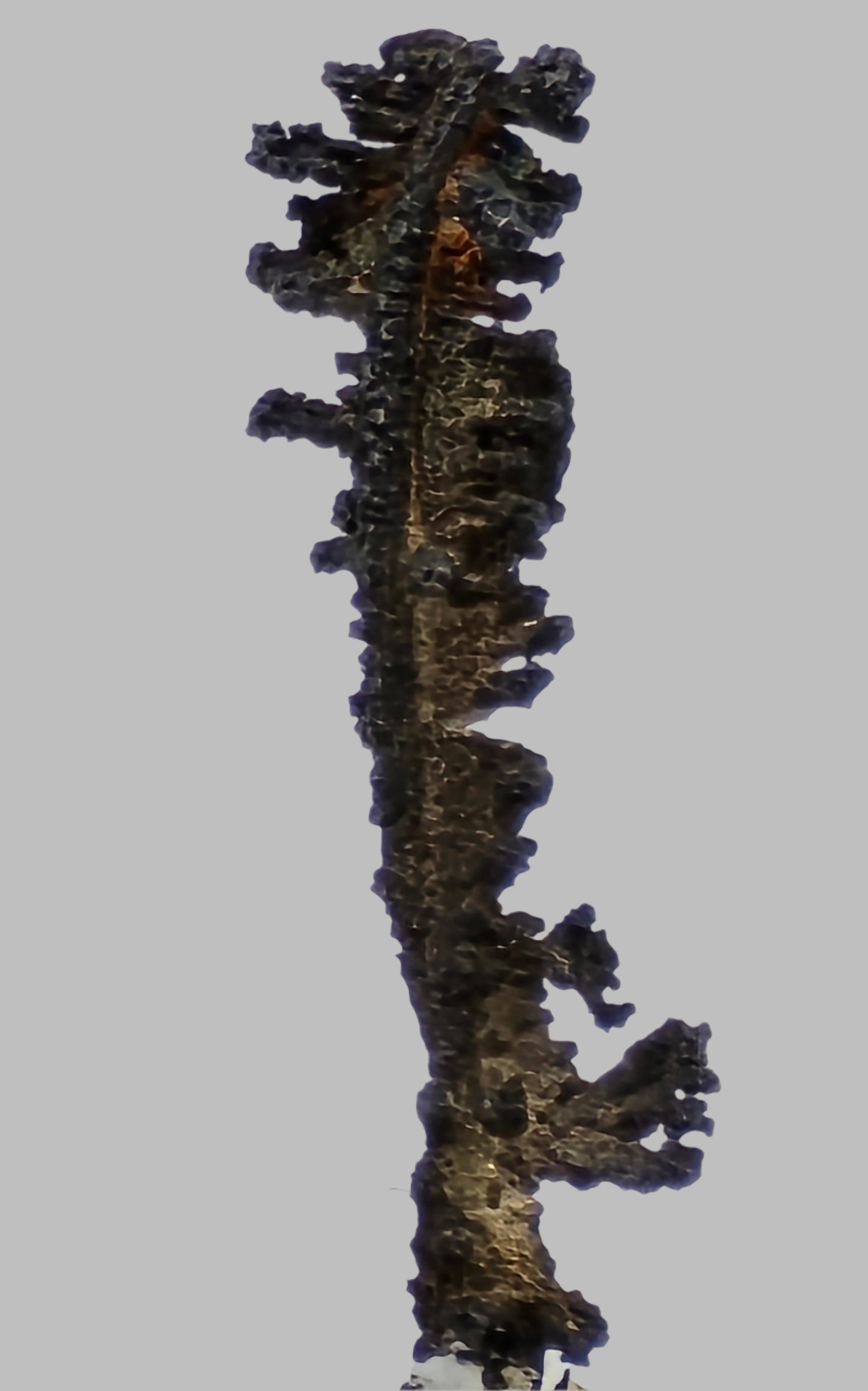 SILVER (thumbnail)