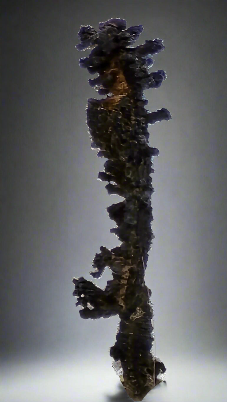 SILVER (thumbnail)