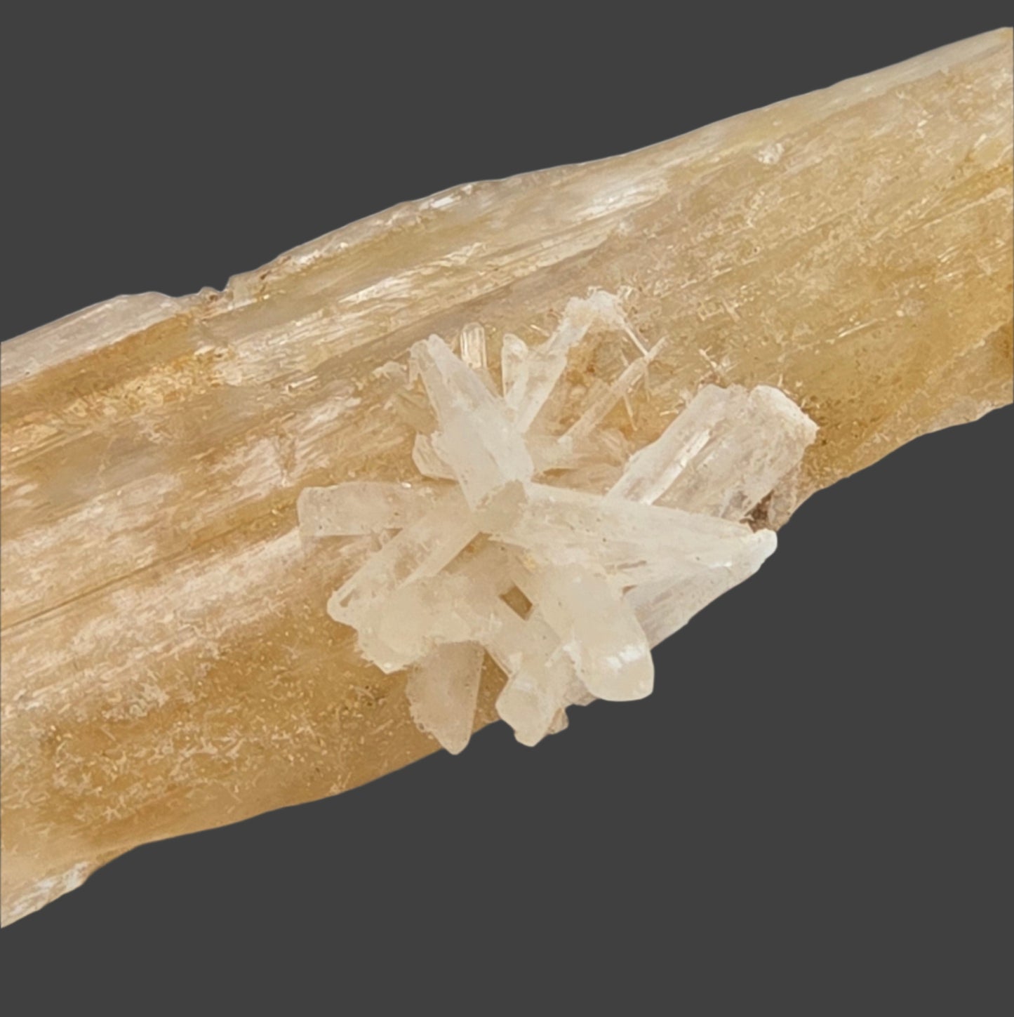 GYPSUM single crystal (small cabinet)