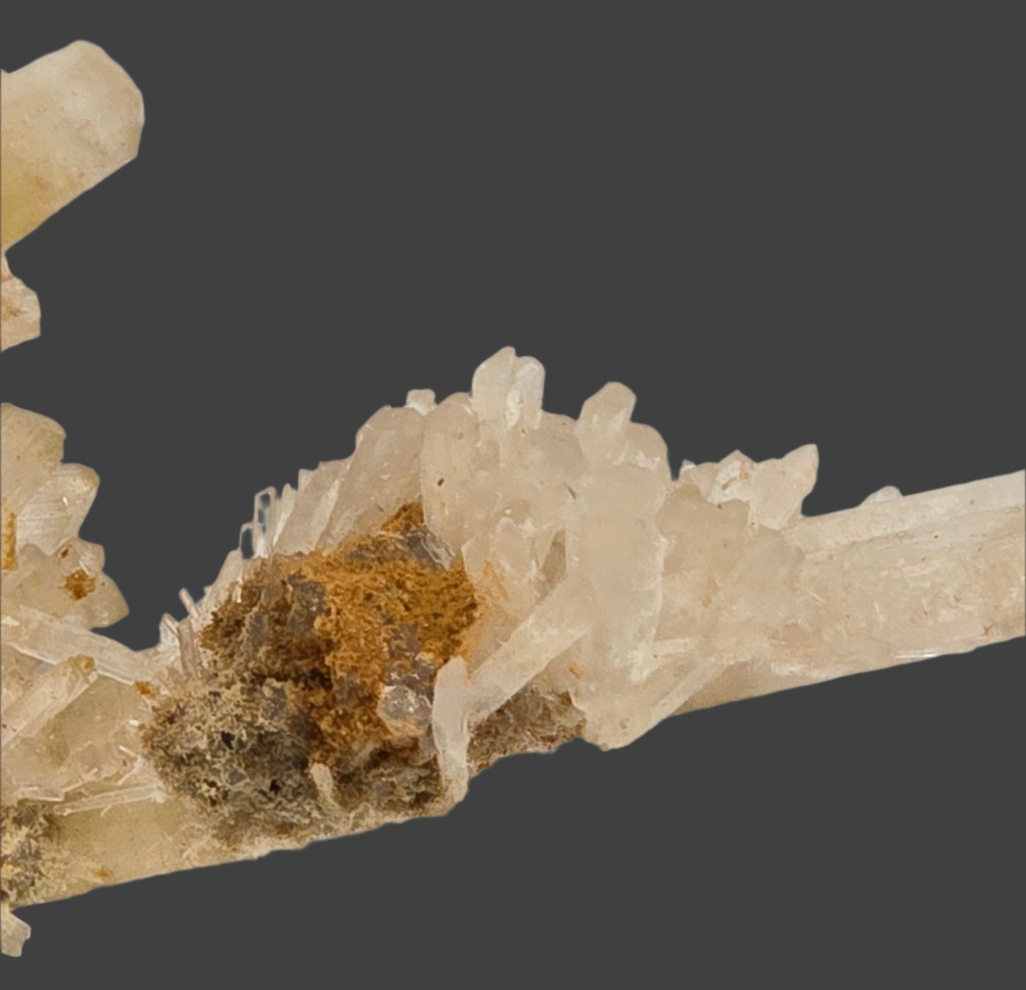 GYPSUM (cabinet)