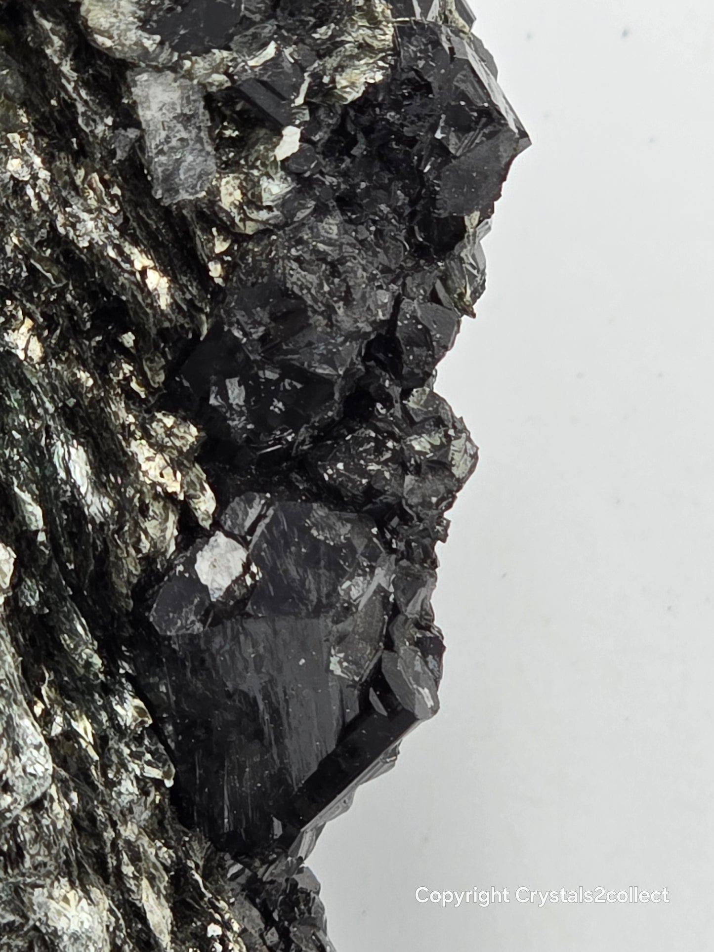 SCHORL (BLACK TOURMALINE) (large cabinet)