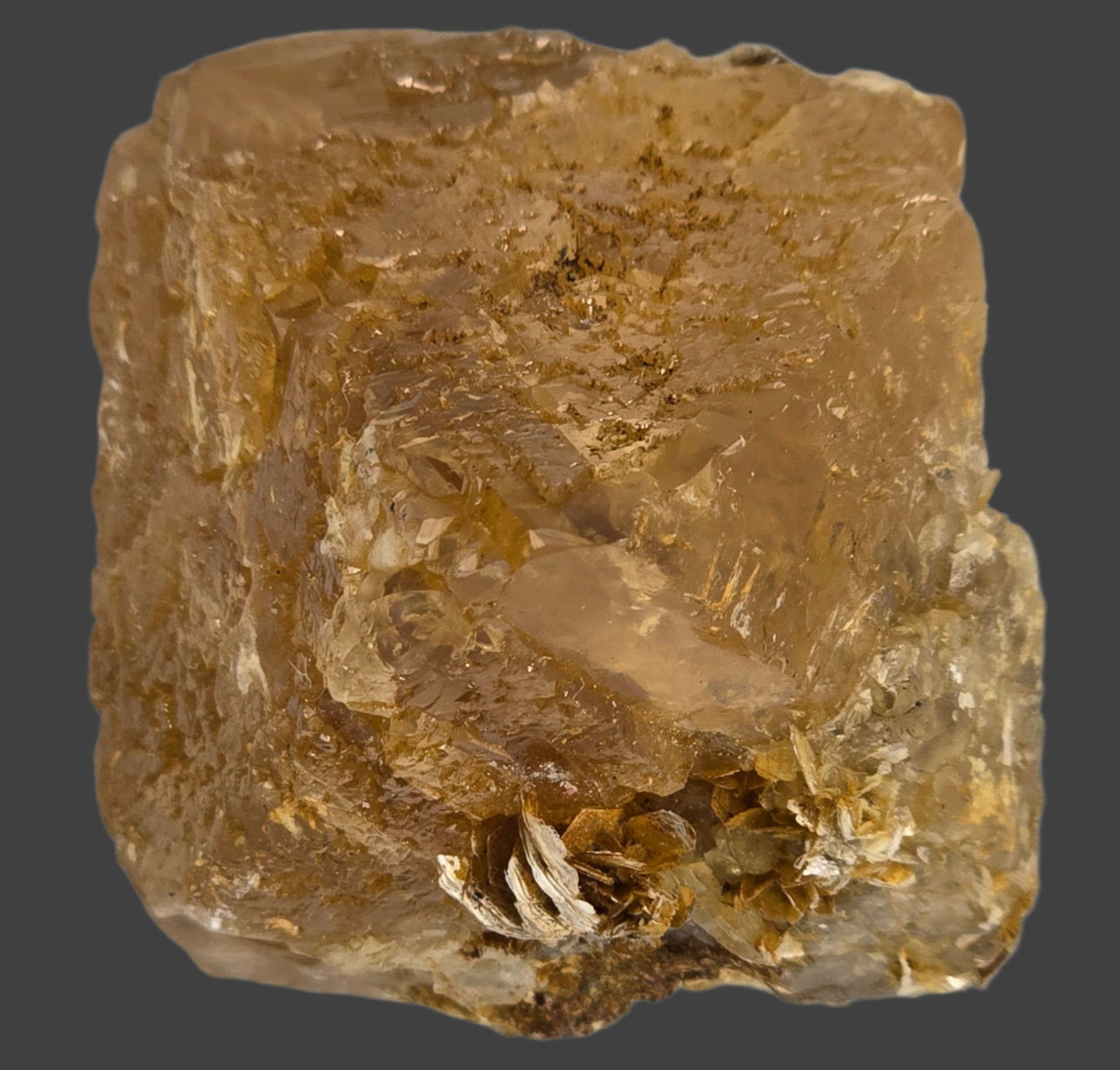 SCHEELITE (single crystal) with MUSCOVITE (small cabinet)