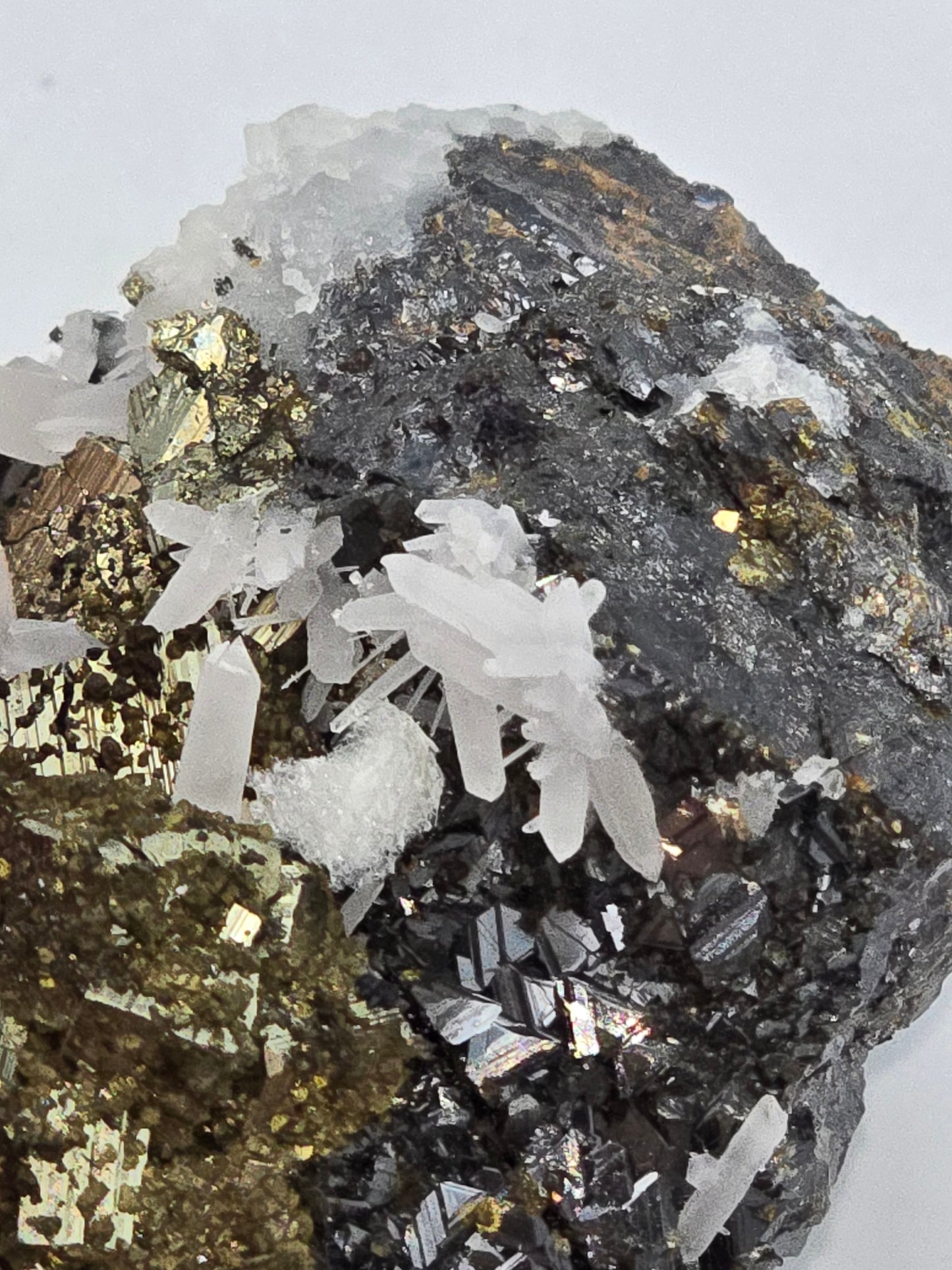 CHALCOPYRITE, PYRITE with NEEDLE QUARTZ SMALL CABINET