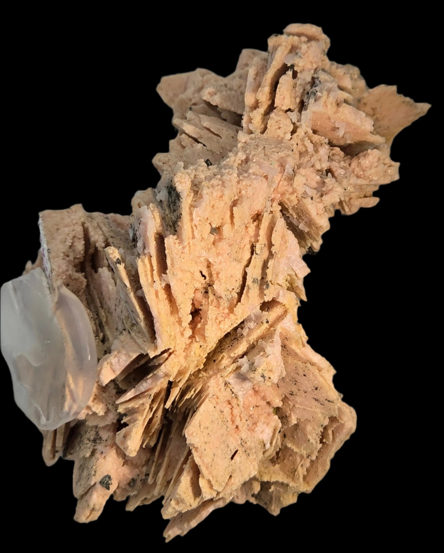 RHODOCHROSITE, CHALCOPYRITE, QUARTZ (cabinet)