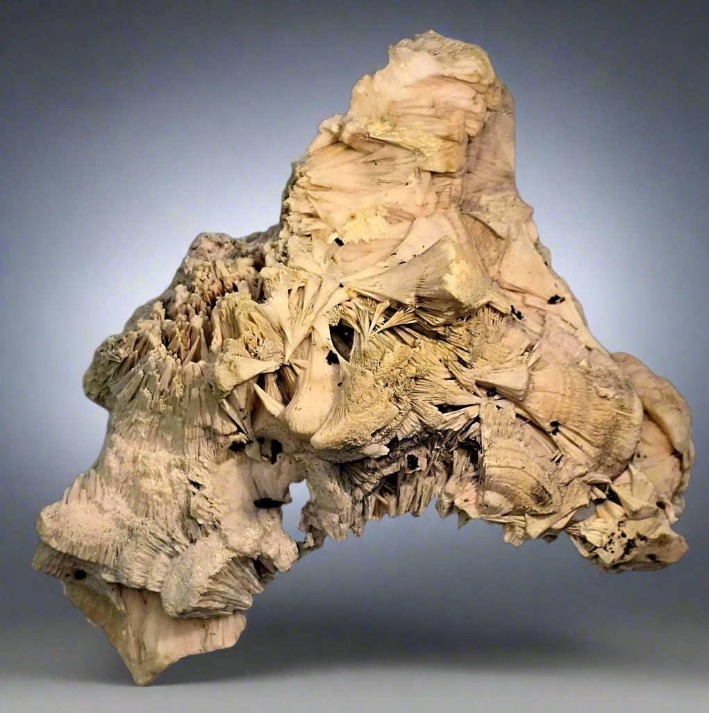 PECTOLITE (large cabinet)