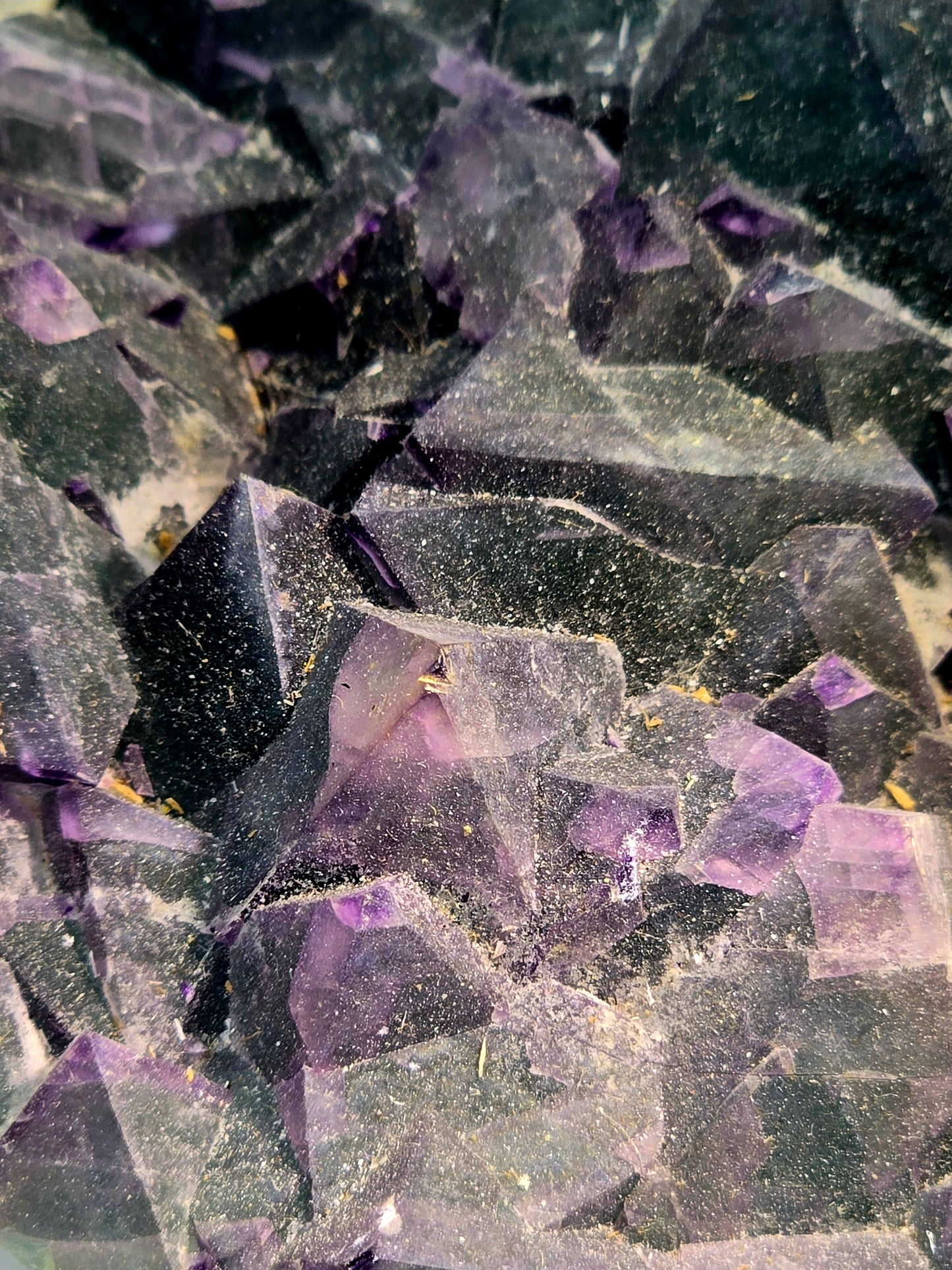 FLUORITE bi-color (large cabinet)