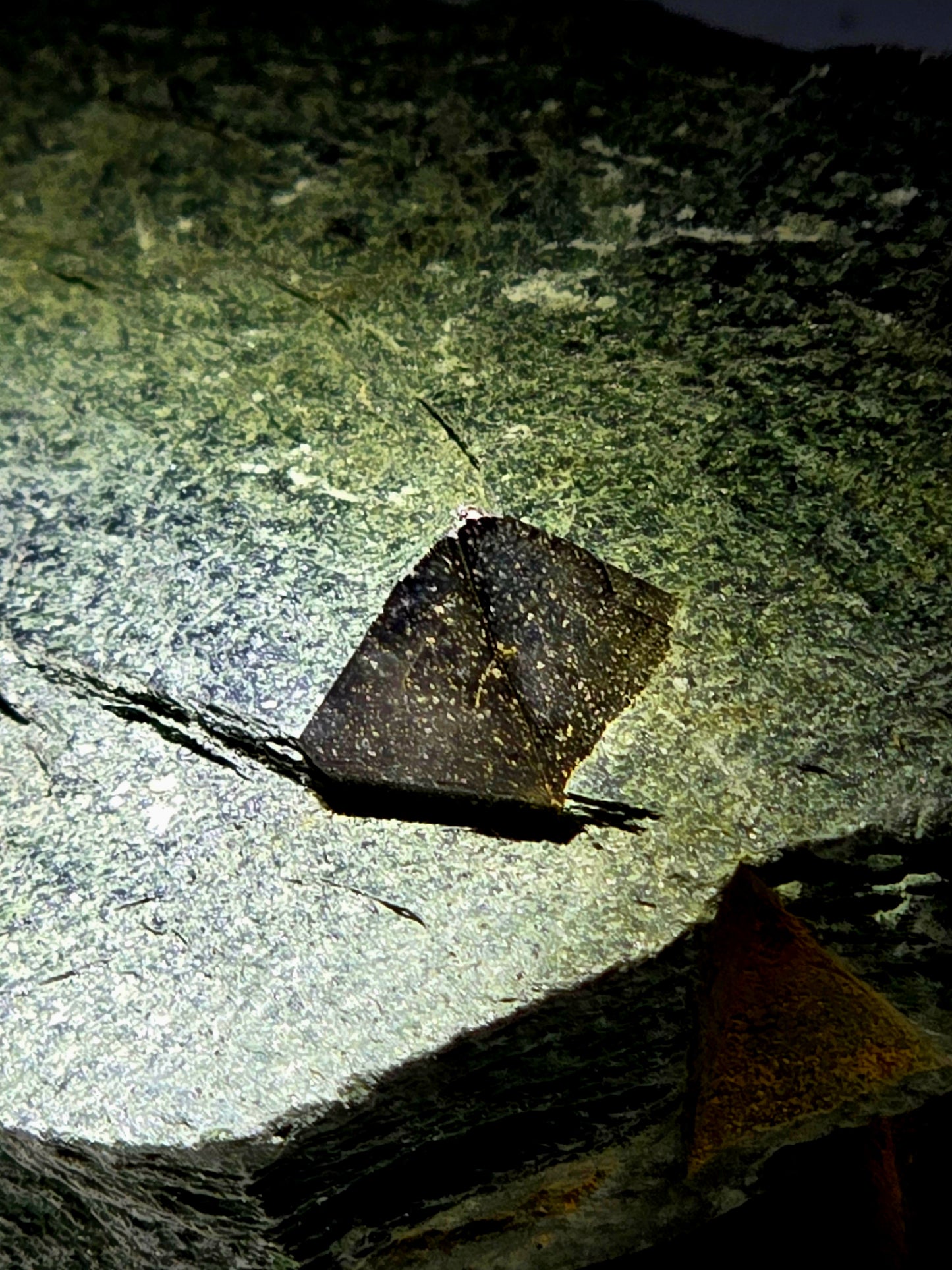 MAGNETITE (cabinet)