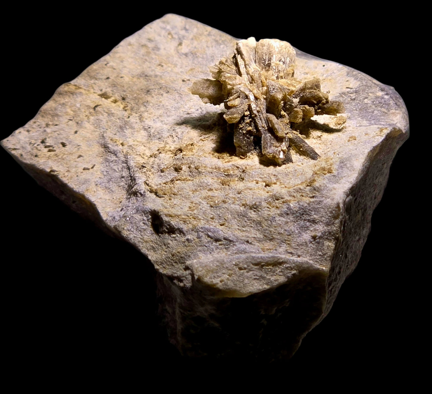 HOWLITE on DOLOMITE