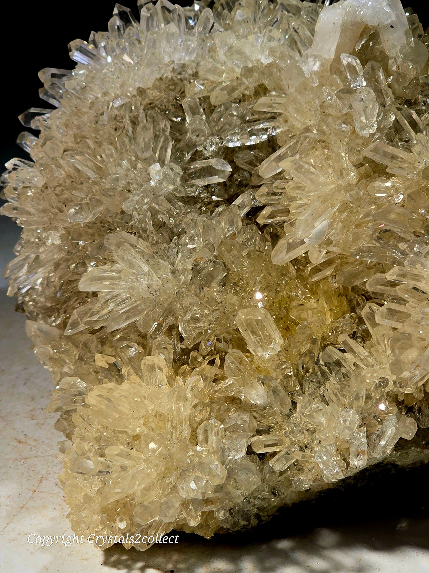 QUARTZ Crystal clear flowers of needle quartz (LARGE CABINET)