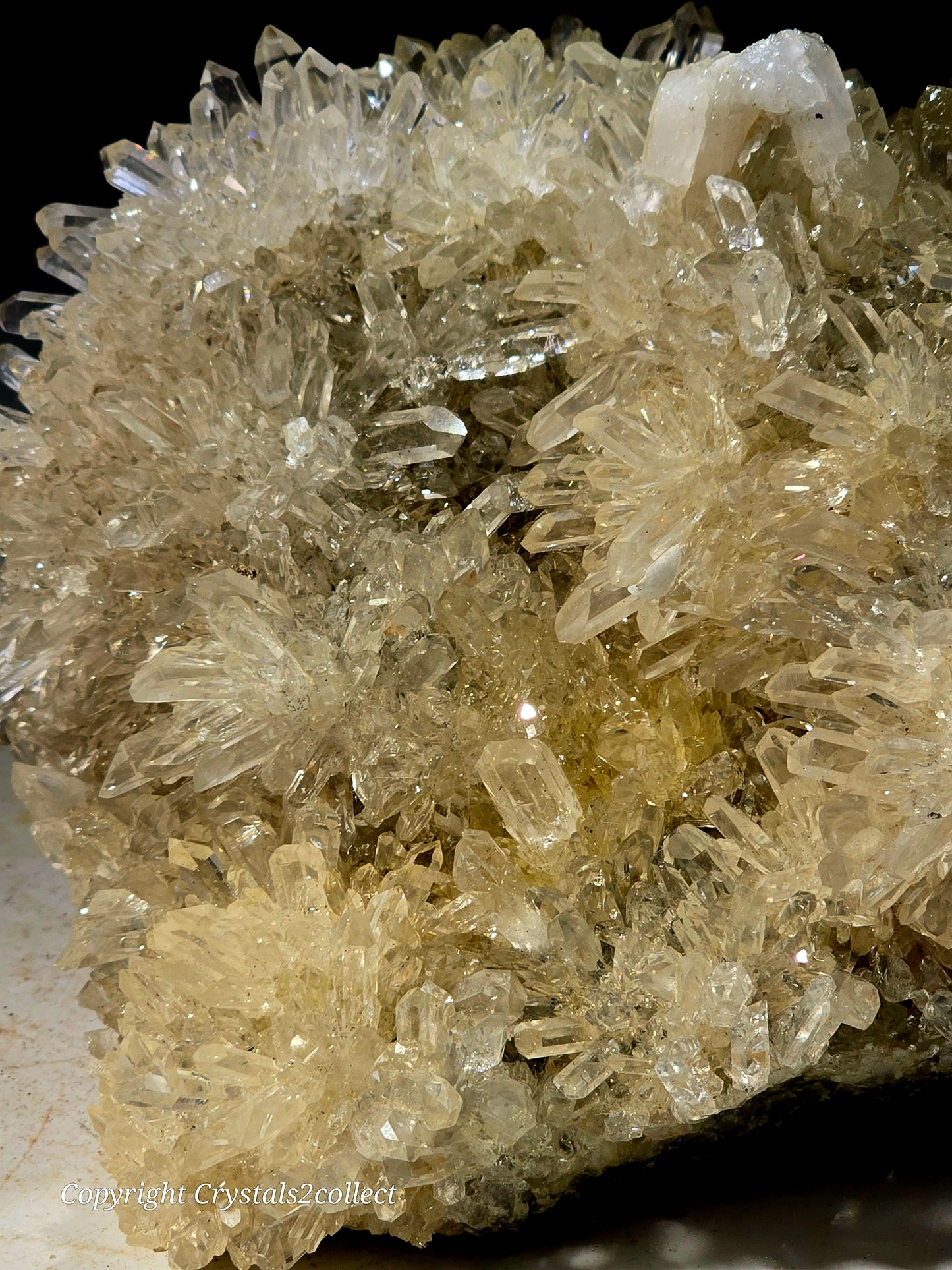 QUARTZ Crystal clear flowers of needle quartz (LARGE CABINET)