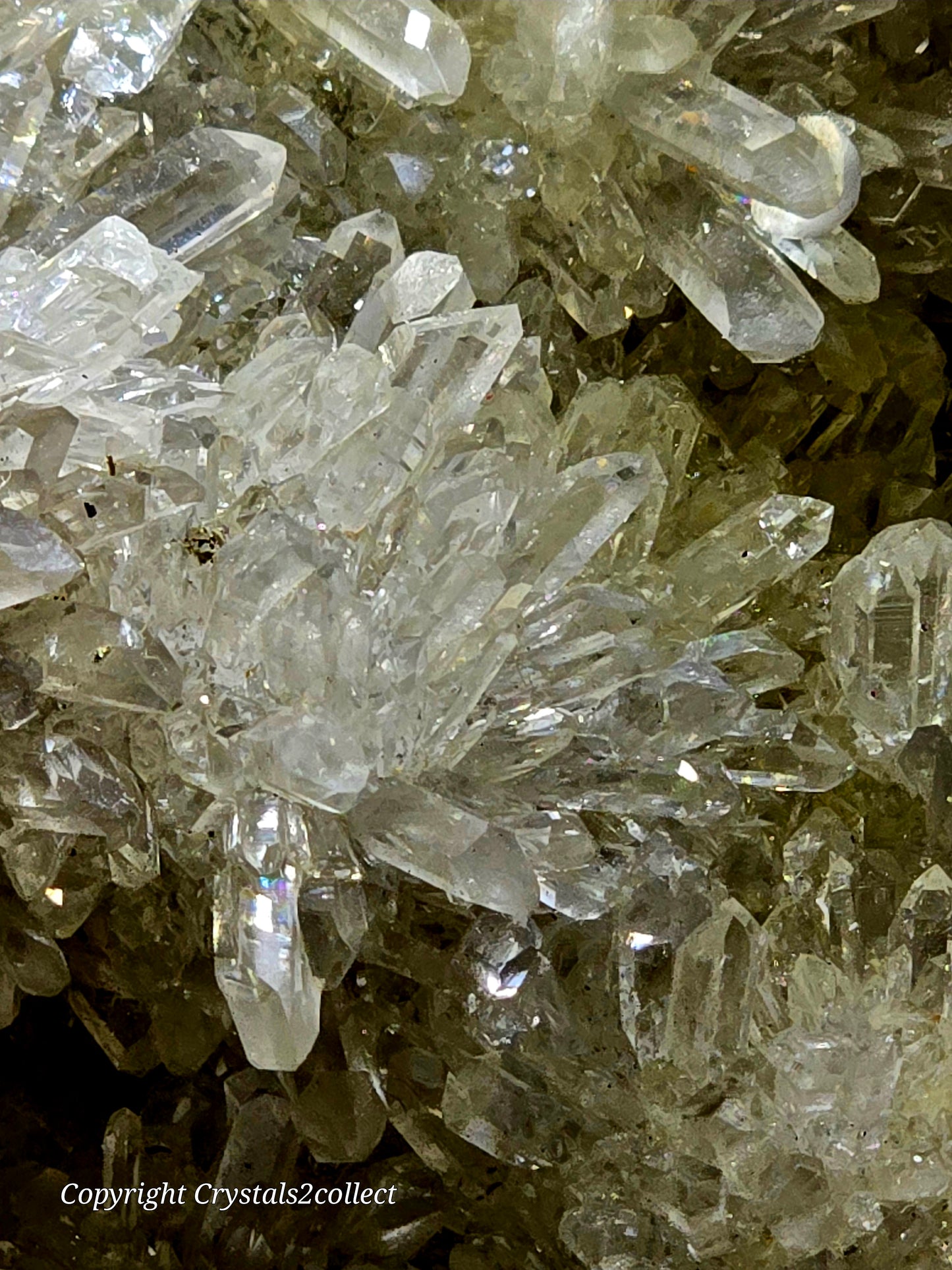 QUARTZ Crystal clear flowers of needle quartz (LARGE CABINET)