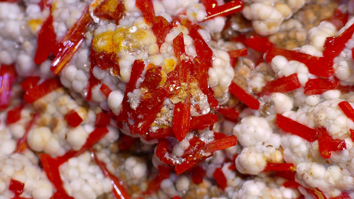 CROCOITE with DUNDASITE (miniature)