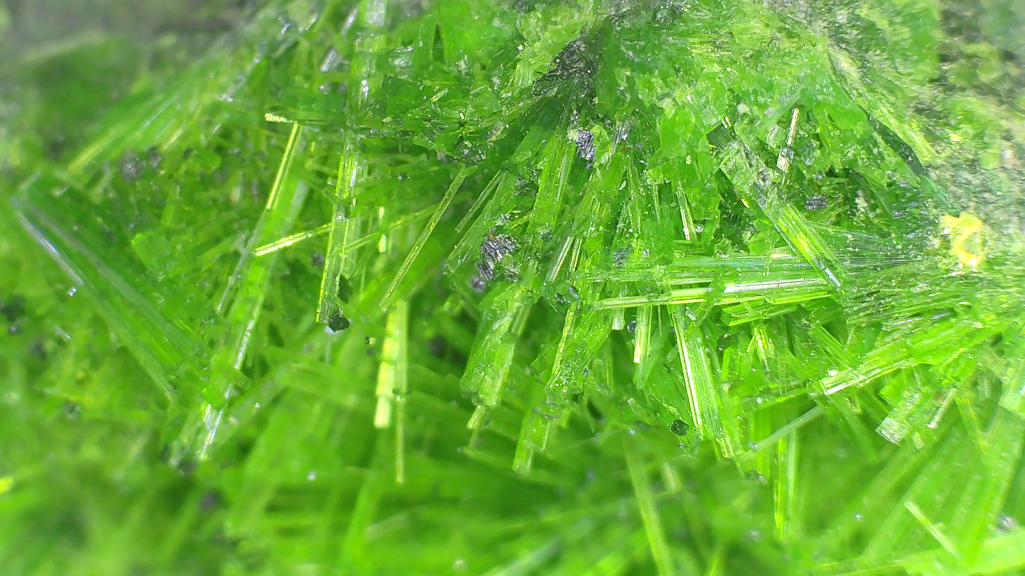CUPROSKLODOWSKITE (RADIOACTIVE) (thumbnail)