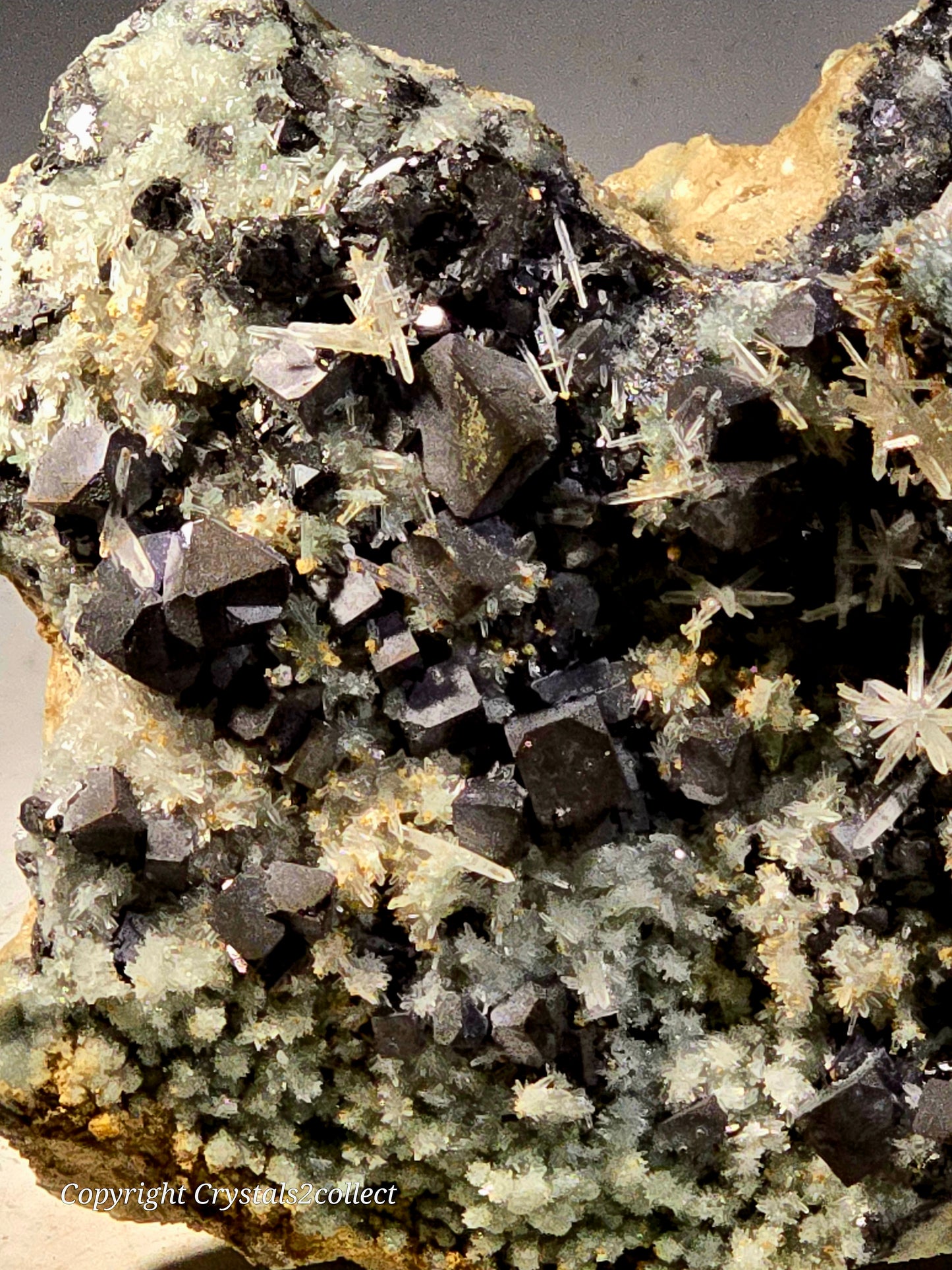 SPHALERITE, GALENA with QUARTZ (cabinet) EXCEPTIONALLY RICH SPECIMEN (cabinet)