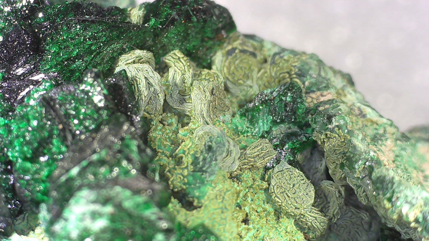 MALACHITE (small cabinet)