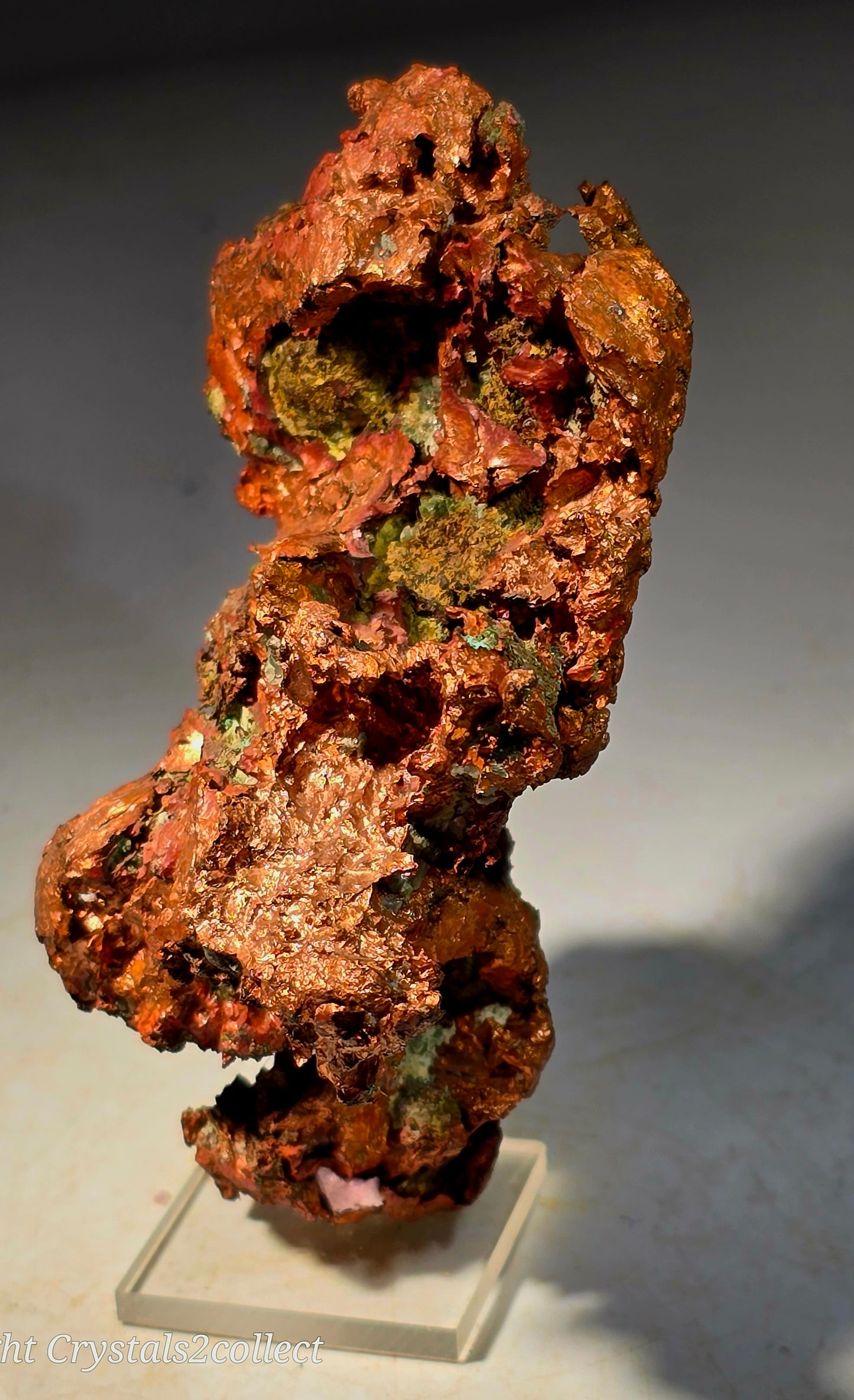 COPPER (cabinet)
