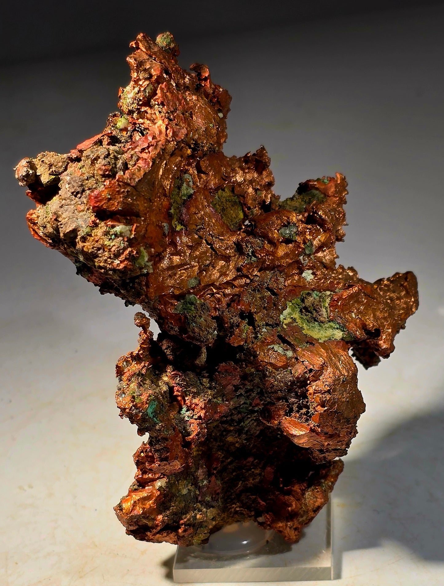 COPPER (cabinet)
