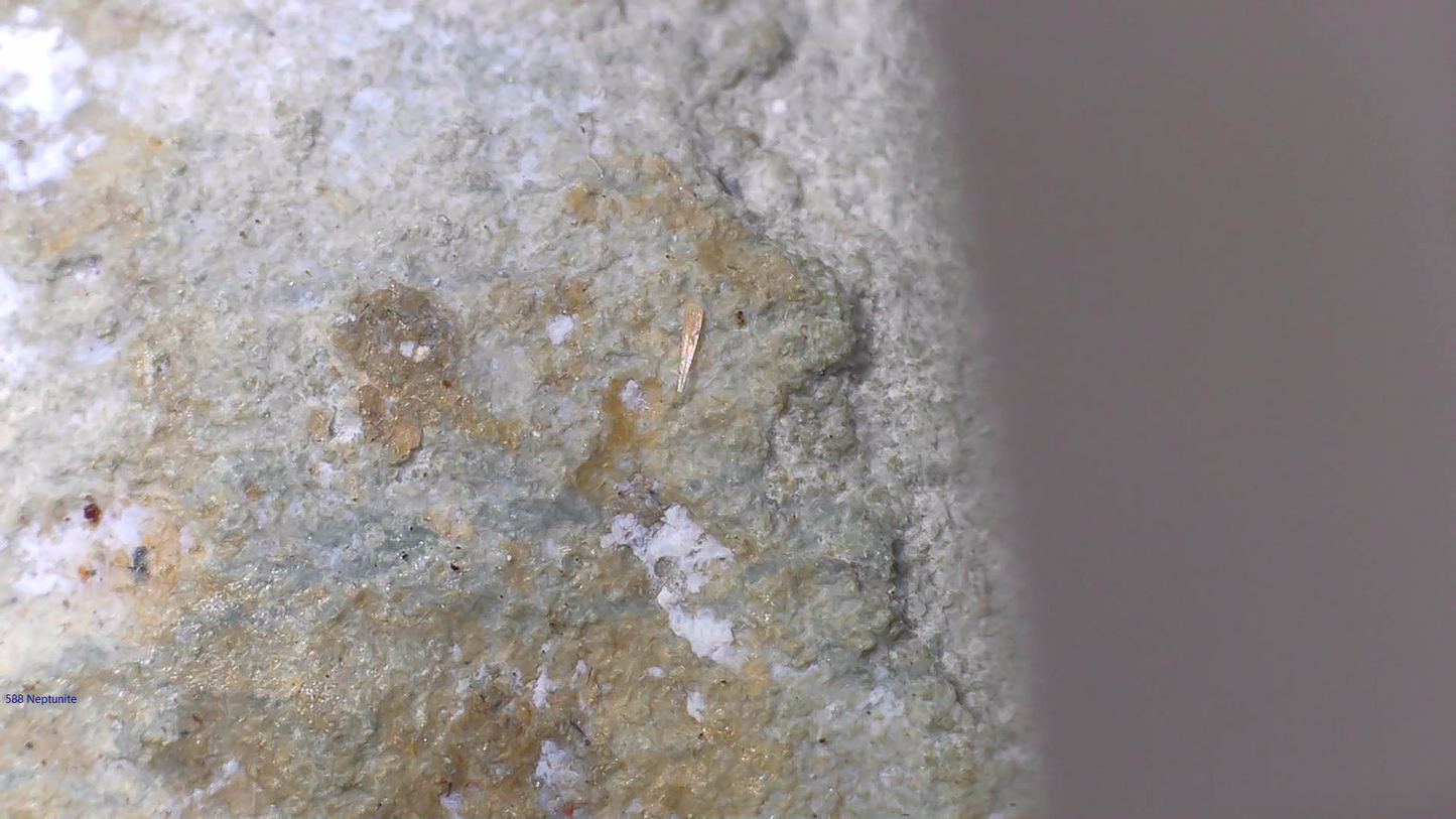 NEPTUNITE, JOAQUINITE, JONESITE (?) ON NATROLITE with SERPENTINE (small cabinet)