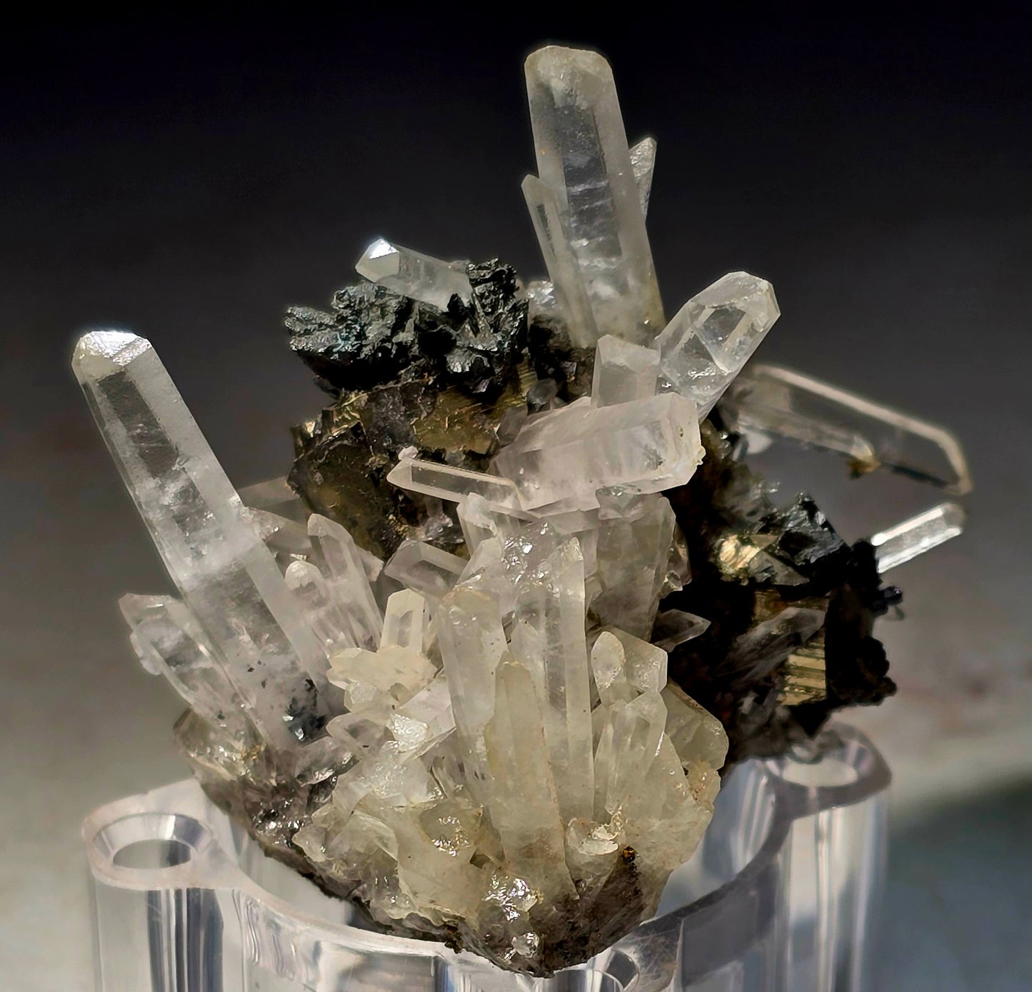 CHALCOPYRITE with QUARTZ (small cabinet)