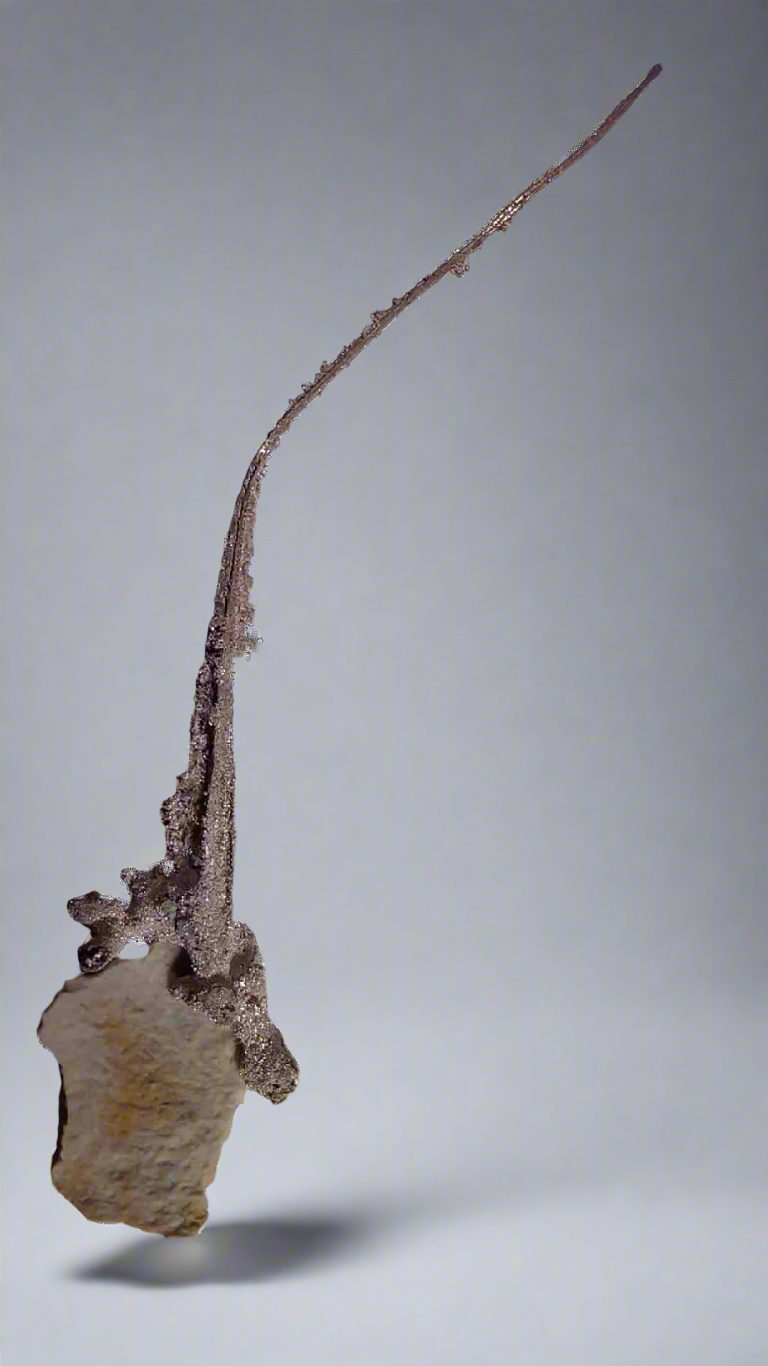 SILVER on MATRIX (micromount)