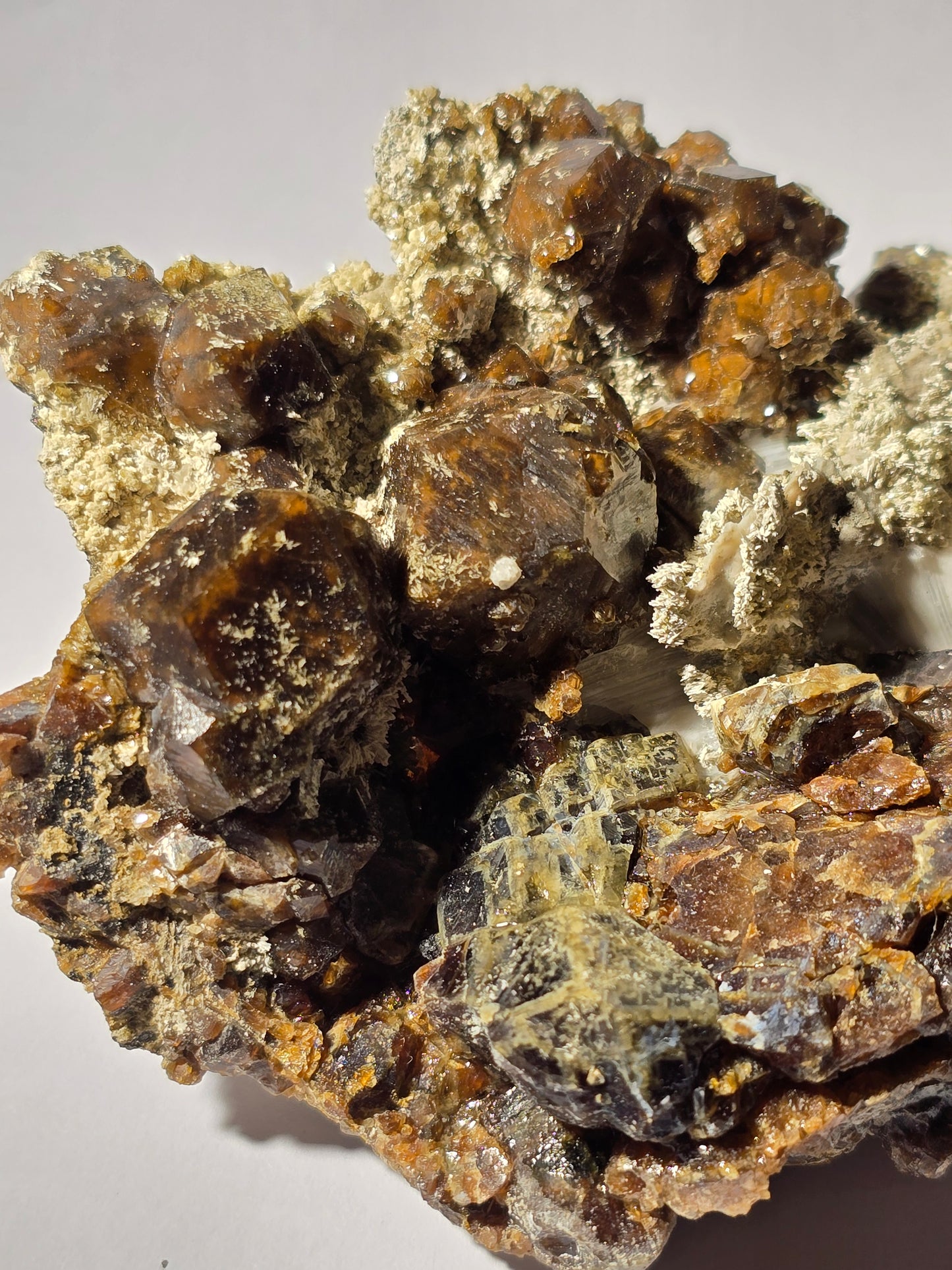 ANDRADITE with ACTINOLITE (cabinet)