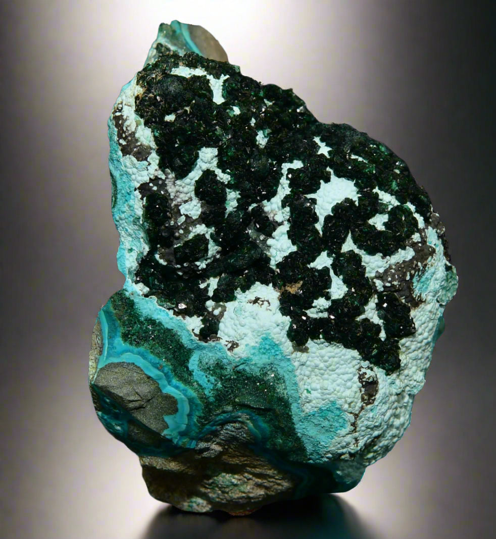 MALACHITE with CHRYSOCALLA (small cabinet)
