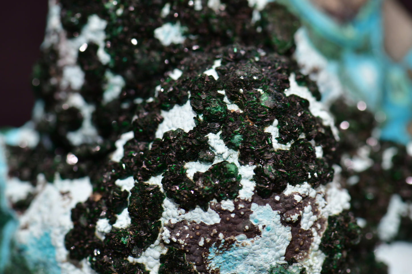 MALACHITE with CHRYSOCALLA (small cabinet)