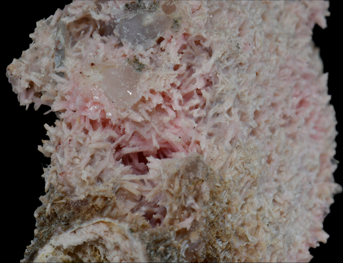 SHIGAITE AND RHODOCHROSITE COMBO (small cabinet)