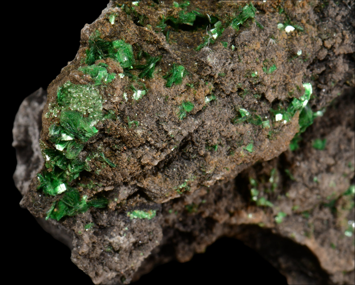 TORBERNITE (CHALCOLITE) (small cabinet)