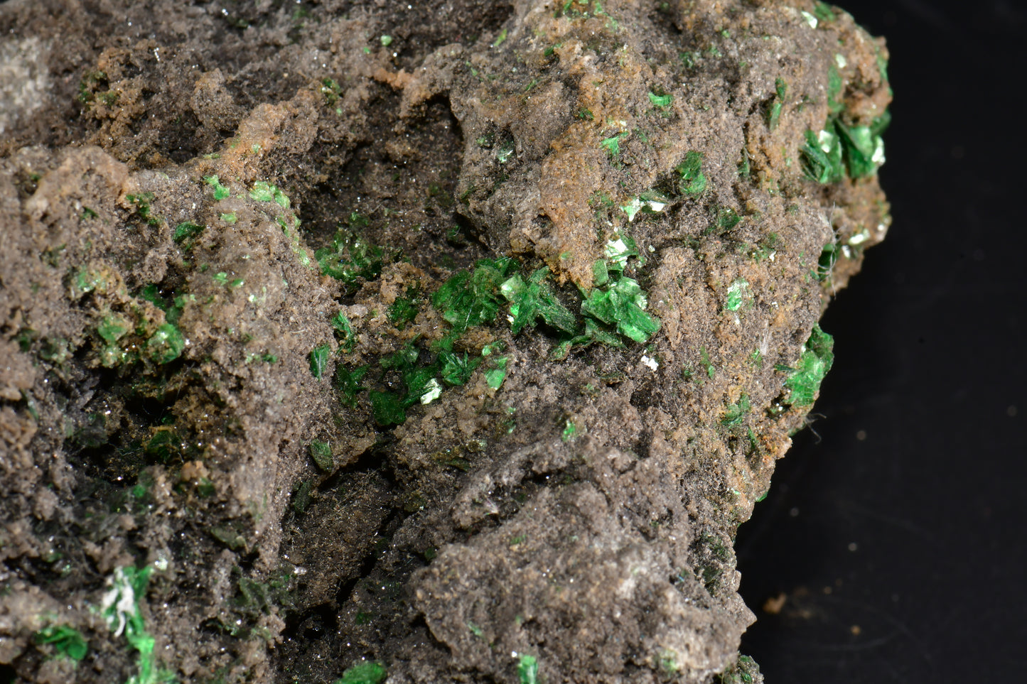 TORBERNITE (CHALCOLITE) (small cabinet)