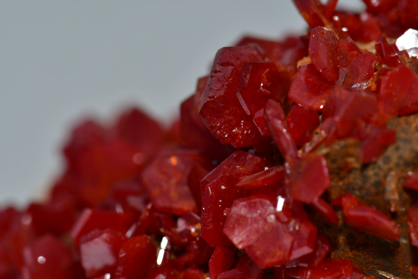 VANADINITE ON BARYTE (cabinet)