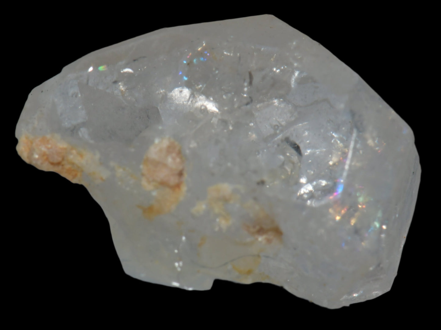 MORGANITE (thumbnail)