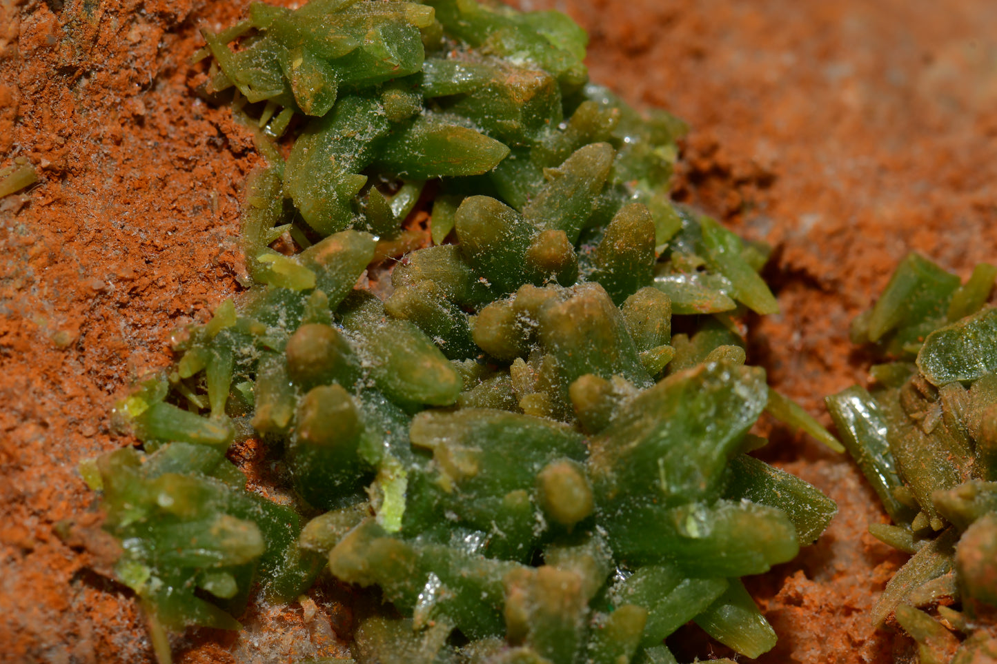 PYROMORPHITE (cabinet)