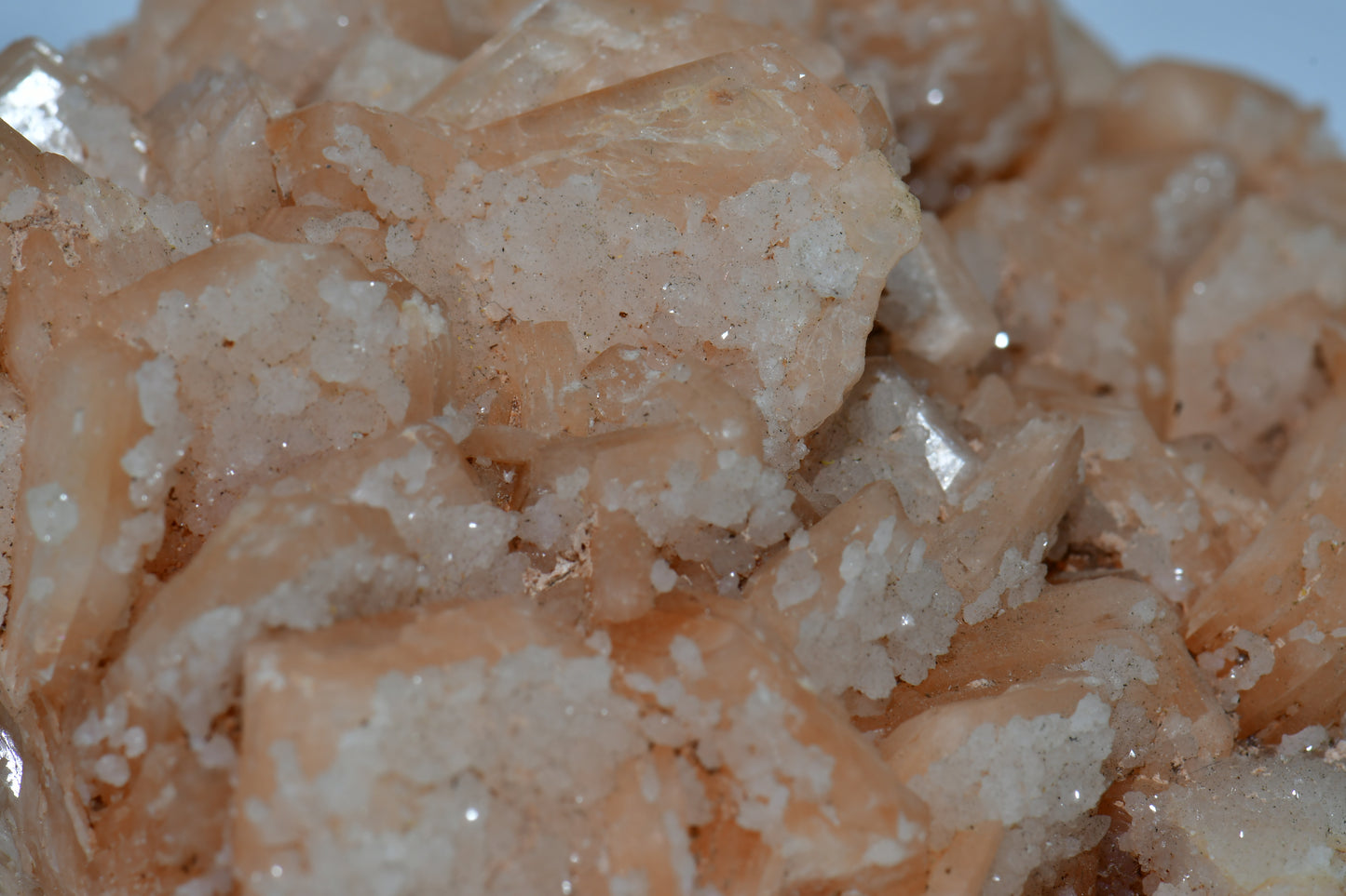 STILBITE (BEST PINK COLOR) covered with APOPHILLITE (large cabinet)