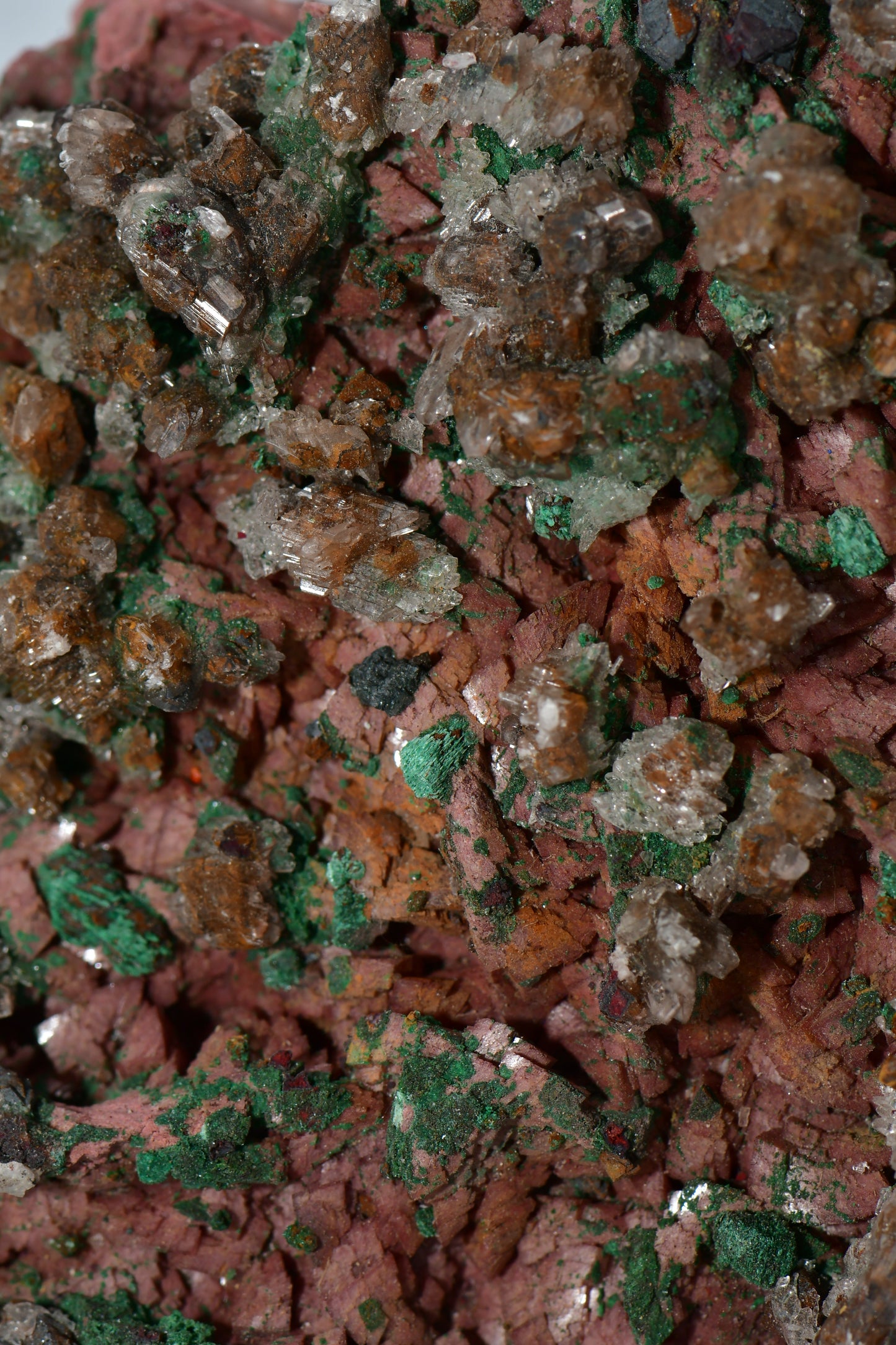 CHALCOPHYLLITE, MALACHITE, CUPRITE LARGE CABINET