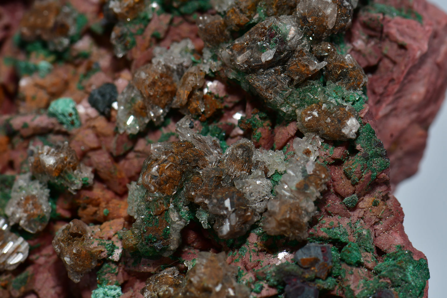CHALCOPHYLLITE, MALACHITE, CUPRITE LARGE CABINET