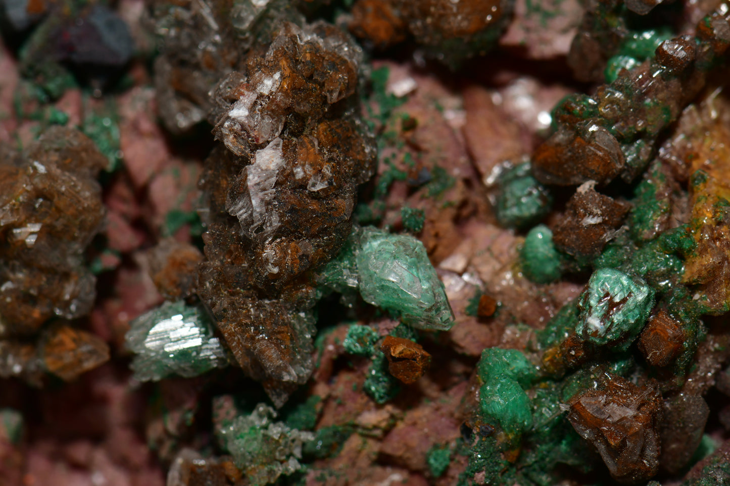 CHALCOPHYLLITE, MALACHITE, CUPRITE LARGE CABINET