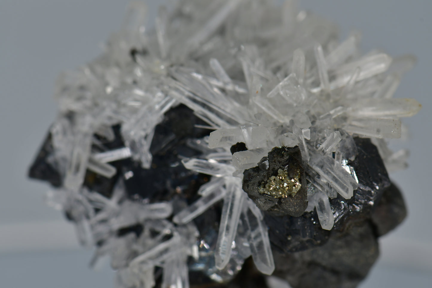 CHALCOPYRITE WITH NEEDLE QUARTZ SMALL CABINET
