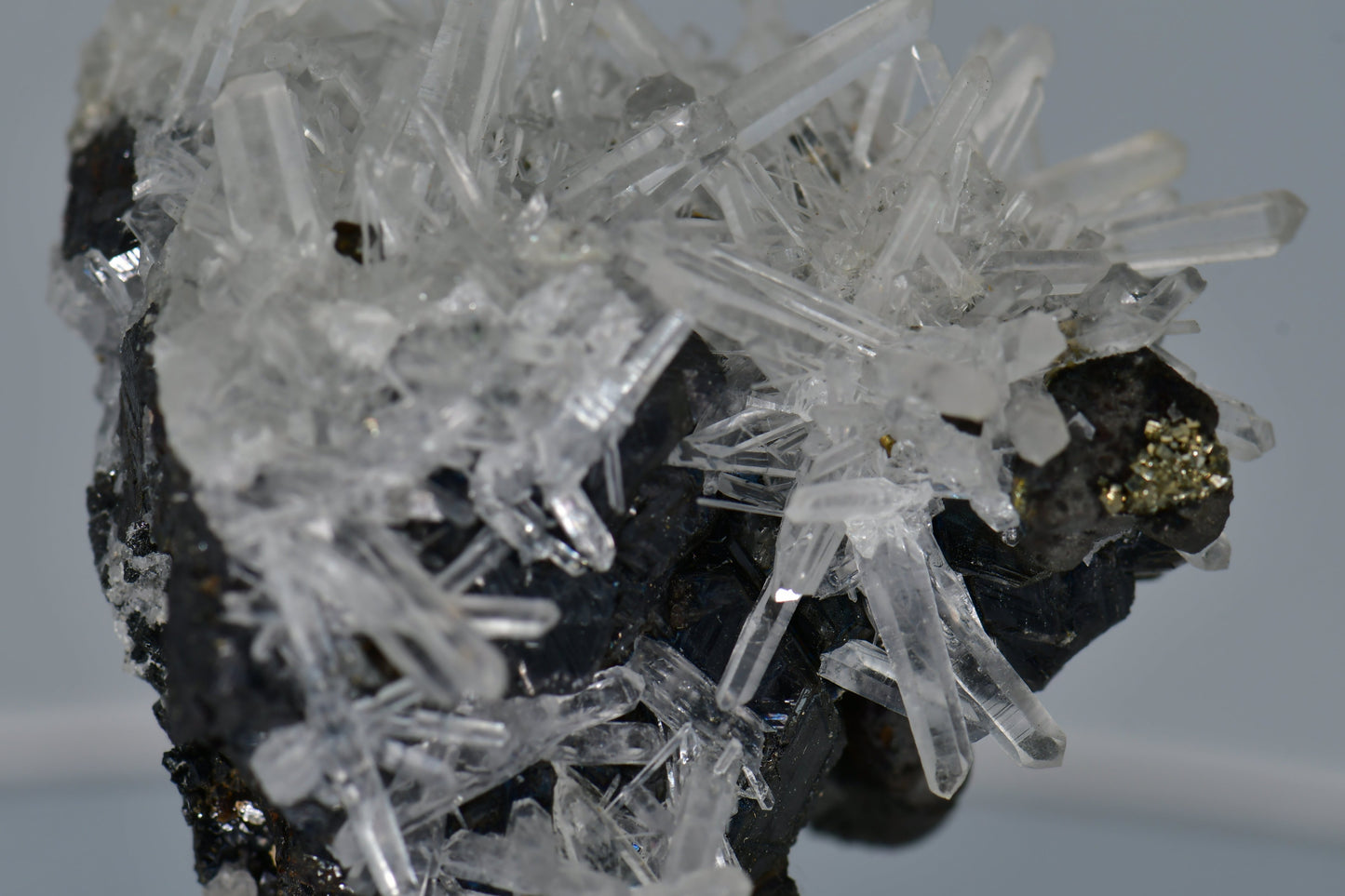 CHALCOPYRITE WITH NEEDLE QUARTZ SMALL CABINET