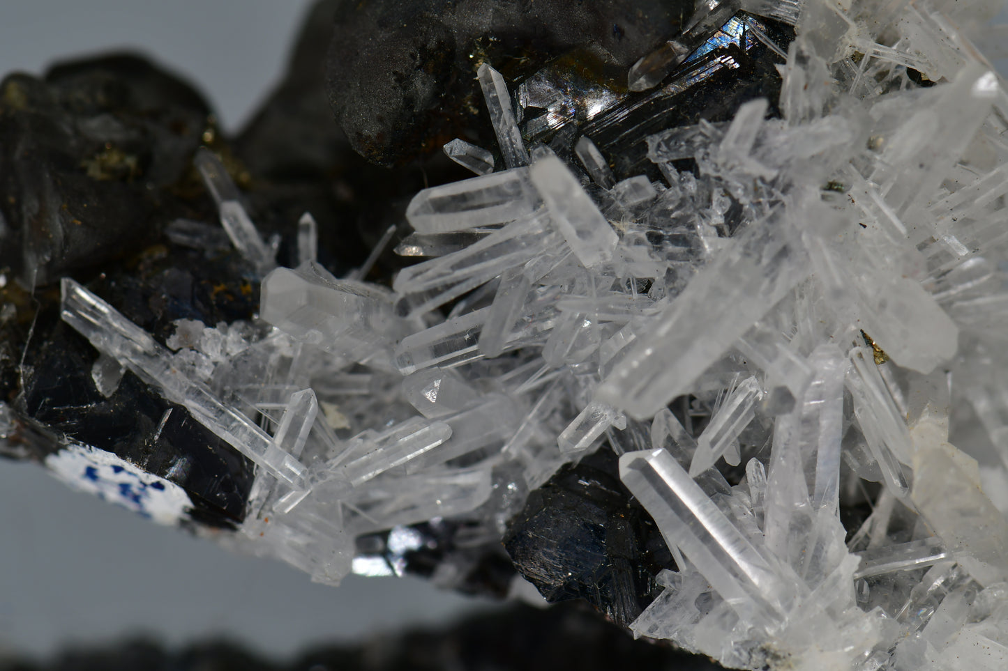 CHALCOPYRITE WITH NEEDLE QUARTZ SMALL CABINET