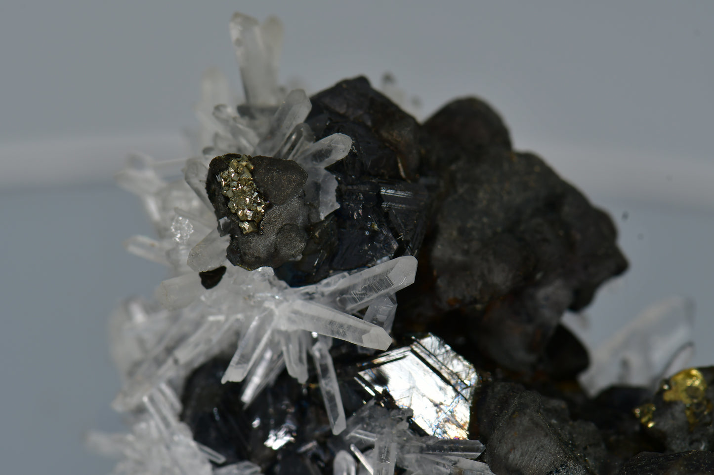 CHALCOPYRITE WITH NEEDLE QUARTZ SMALL CABINET