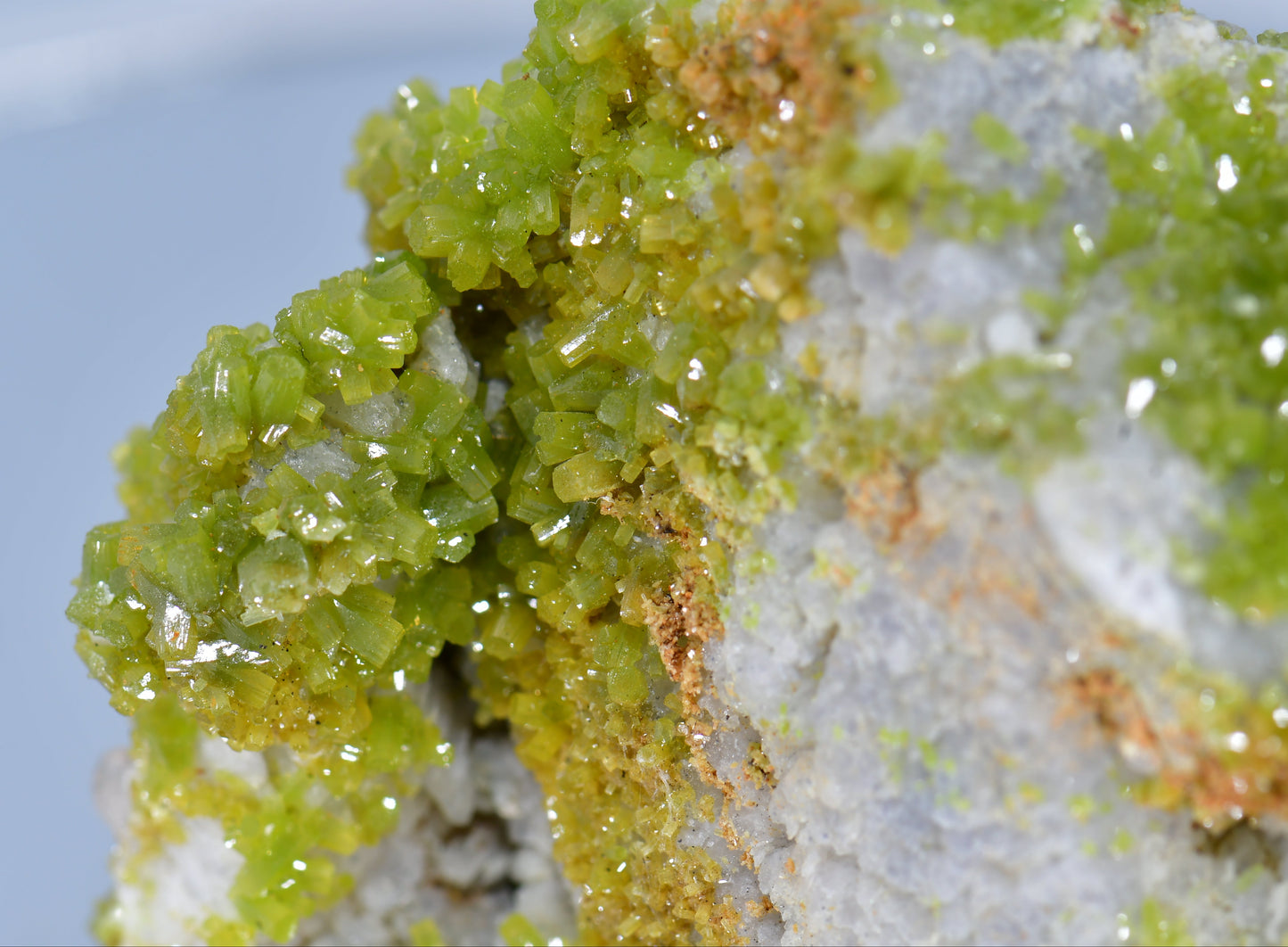 PYROMORPHITE (THOUSANDS OF BRIGHT GREEN CRYSTALS) (large cabinet)